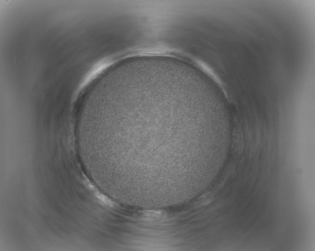 X0000078021456200611101834