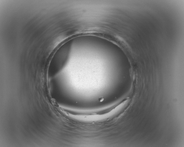 X0000078021457200611101834