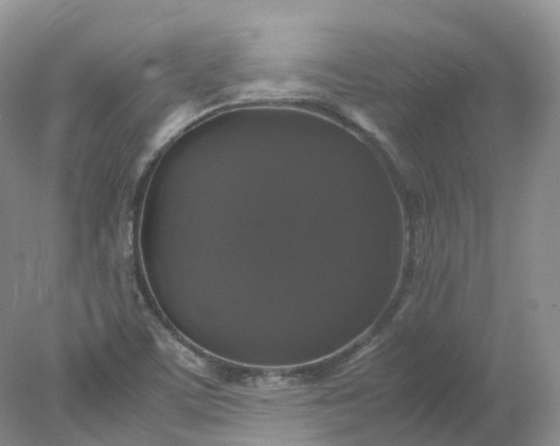 X0000078021459200611101834