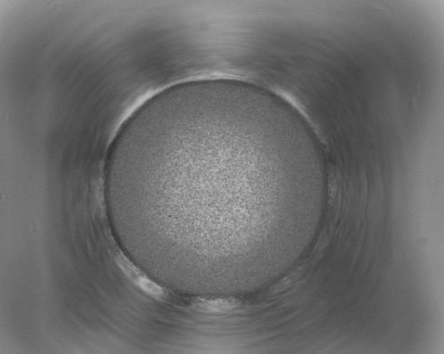 X0000078021460200611101834