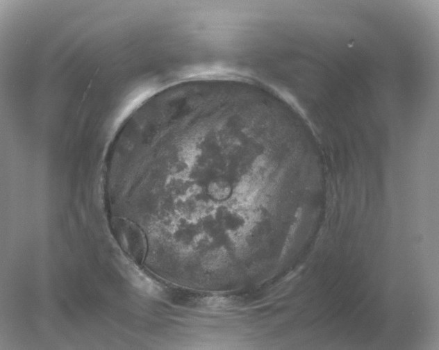 X0000078021463200611101834