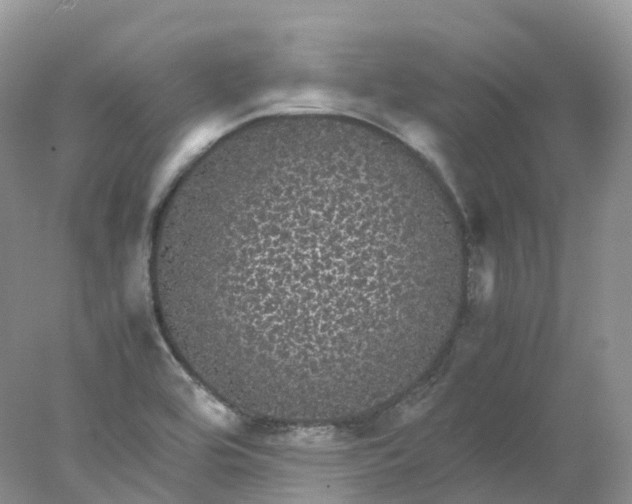 X0000078021464200611101834