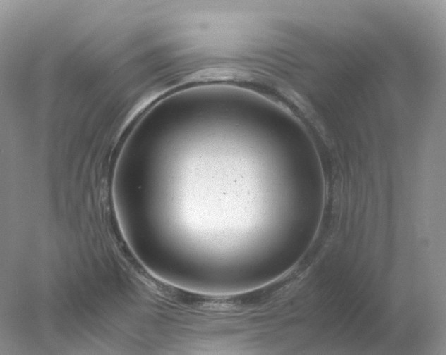 X0000078021465200611101834