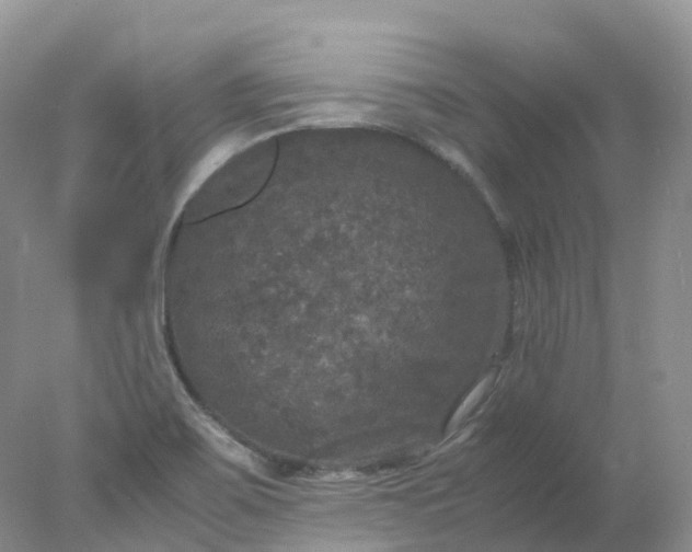 X0000078021467200611101834