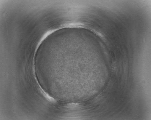 X0000078021470200611101834