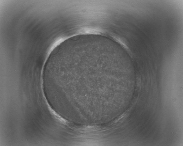 X0000078021471200611101834