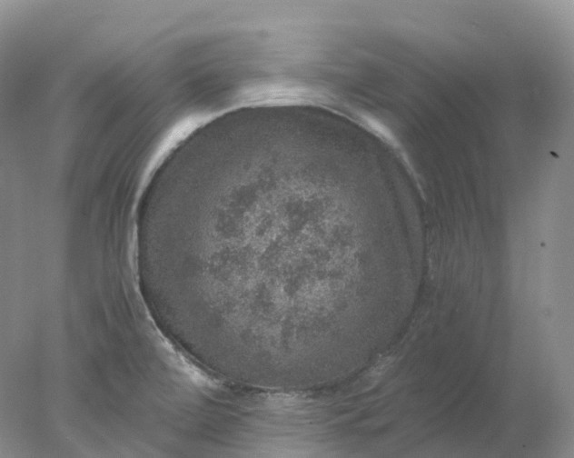 X0000078021472200611101834