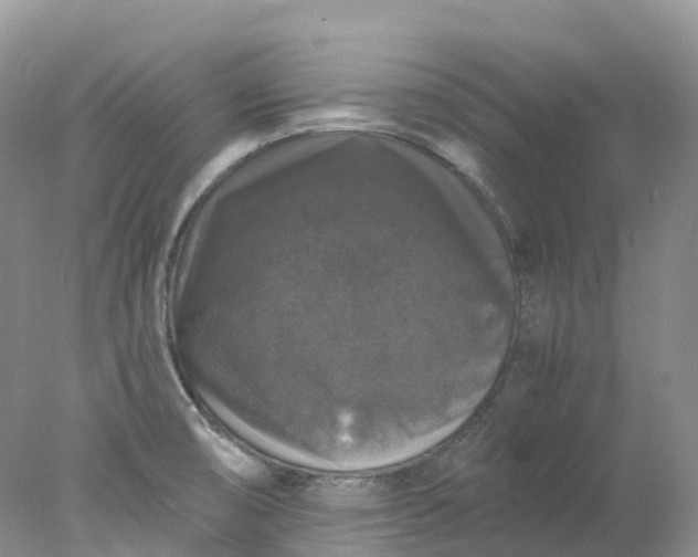 X0000078021474200611101834