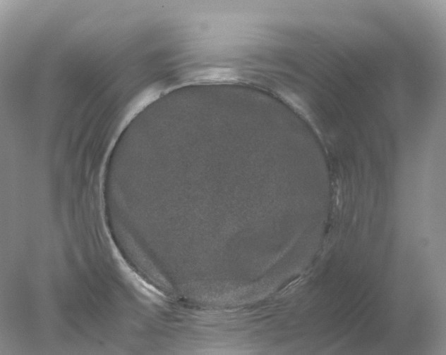 X0000078021475200611101834