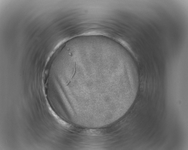 X0000078021476200611101834