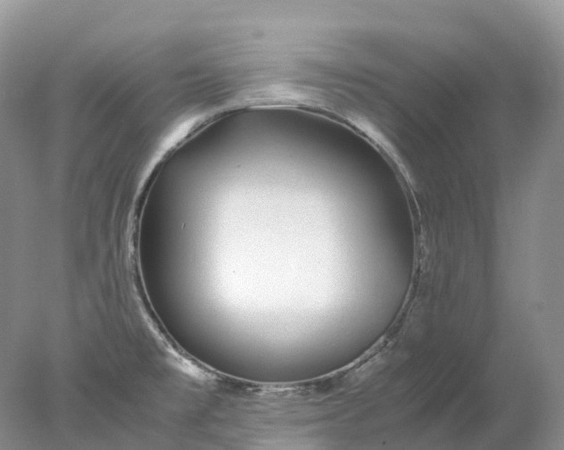 X0000078021477200611101834