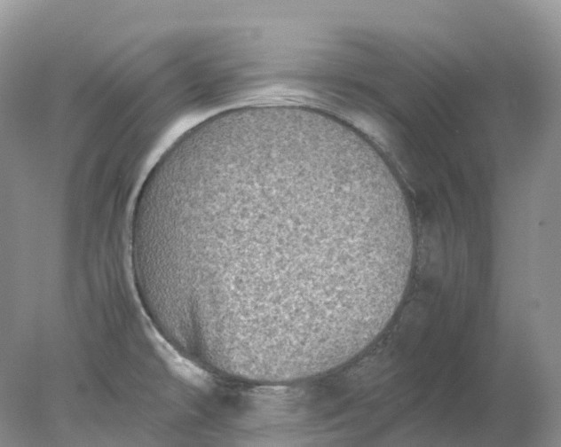 X0000078021478200611101834