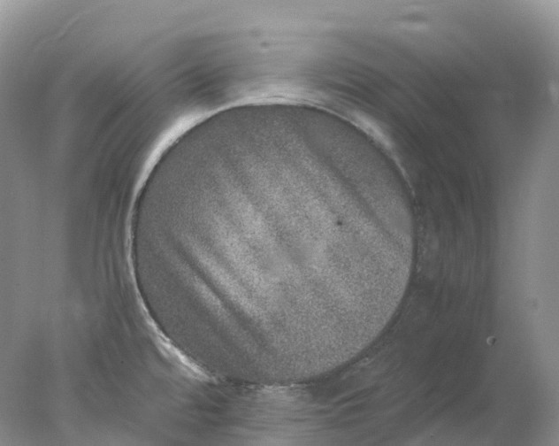 X0000078021480200611101834