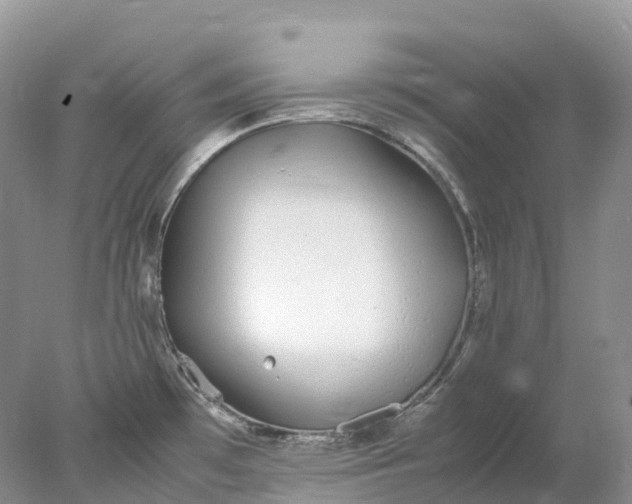 X0000078021481200611101834