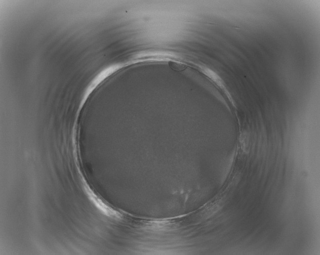 X0000078021482200611101834