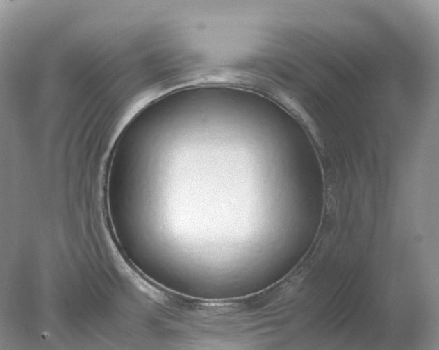 X0000078021483200611101834