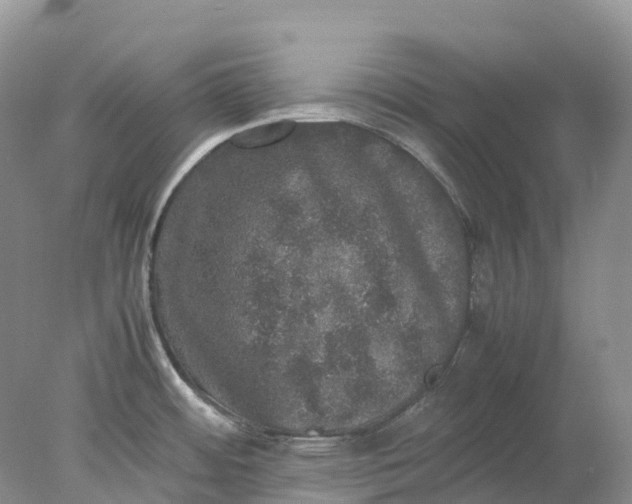 X0000078021484200611101834