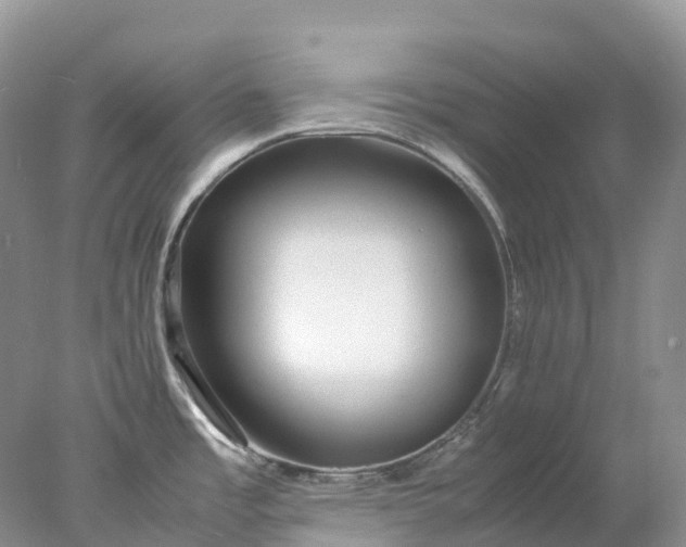 X0000078021485200611101834