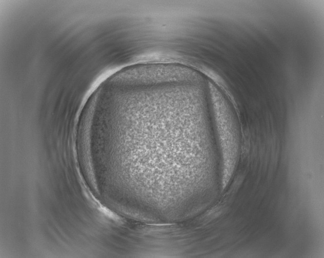 X0000078021486200611101834