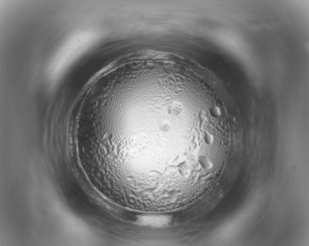 X0000078021487200611101834