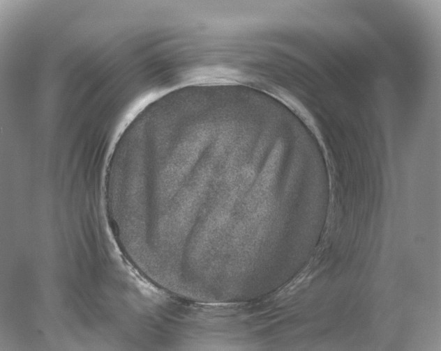 X0000078021488200611101834