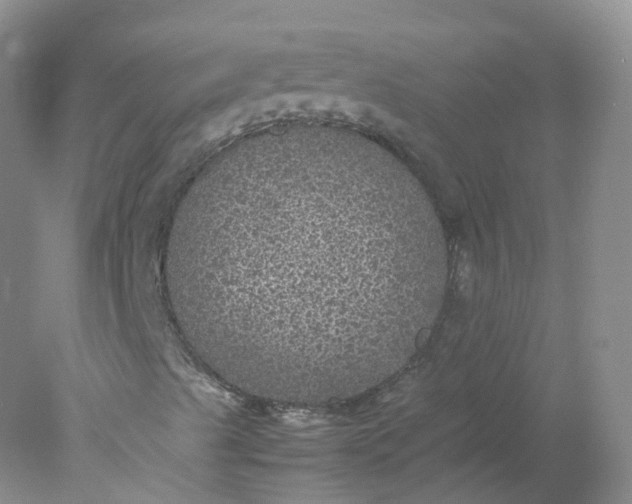 X0000078021489200611101833