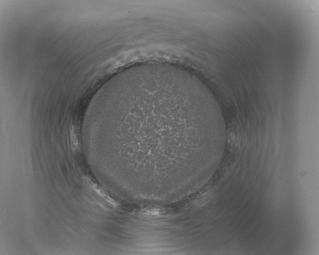 X0000078021490200611101833