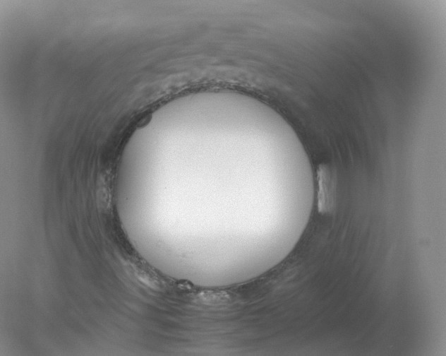 X0000078021491200611101833