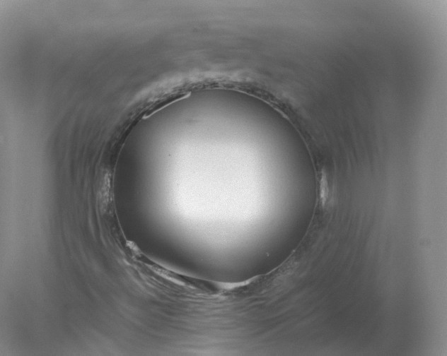 X0000078021492200611101833