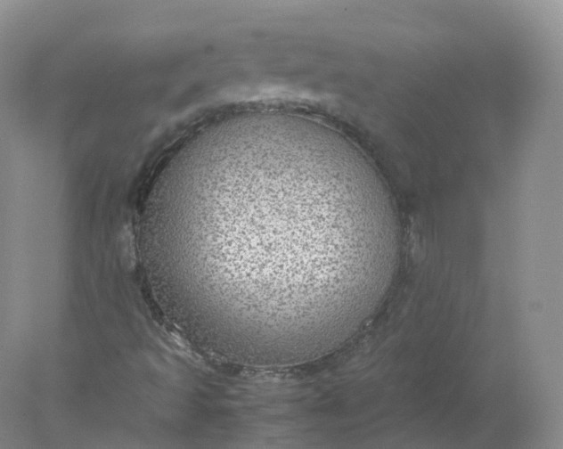 X0000078021493200611101833