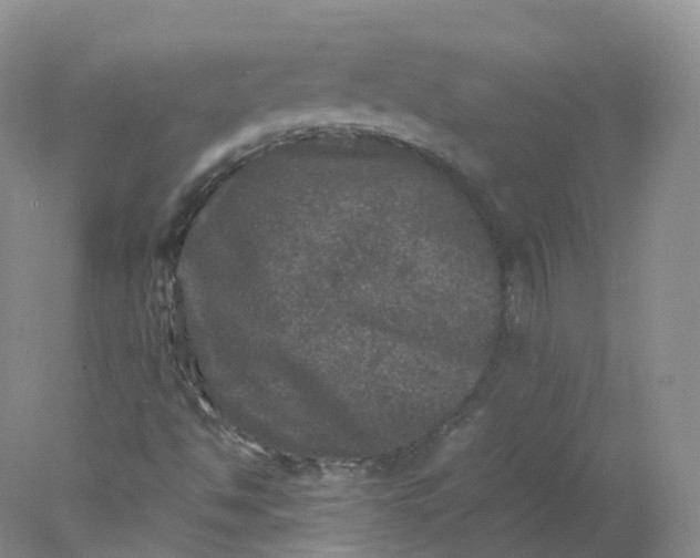 X0000078021494200611101833