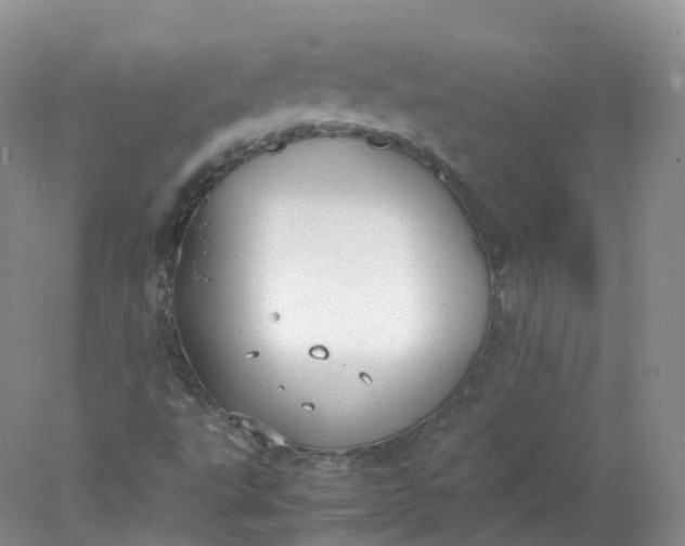 X0000078021495200611101833