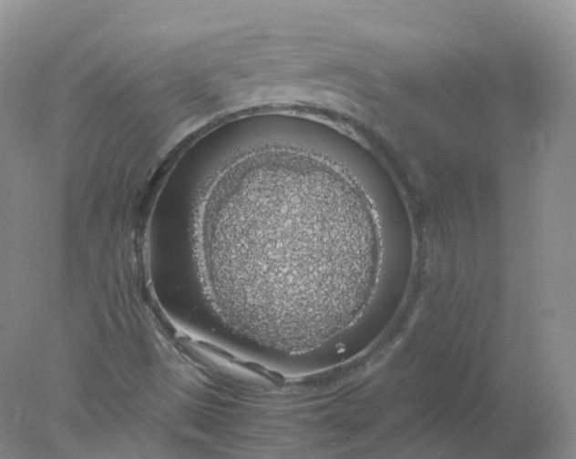 X0000078021497200611101833