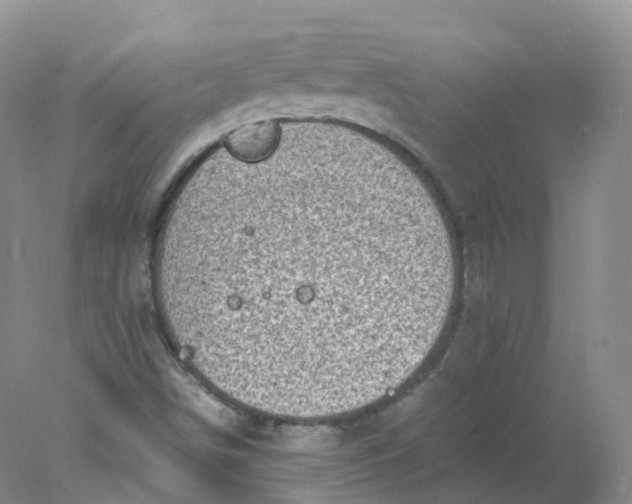 X0000078021498200611101833