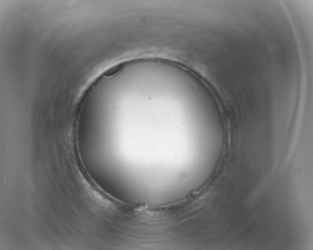 X0000078021500200611101833