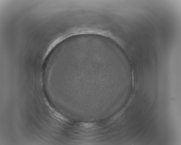 X0000078021501200611101833