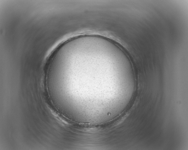 X0000078021502200611101833