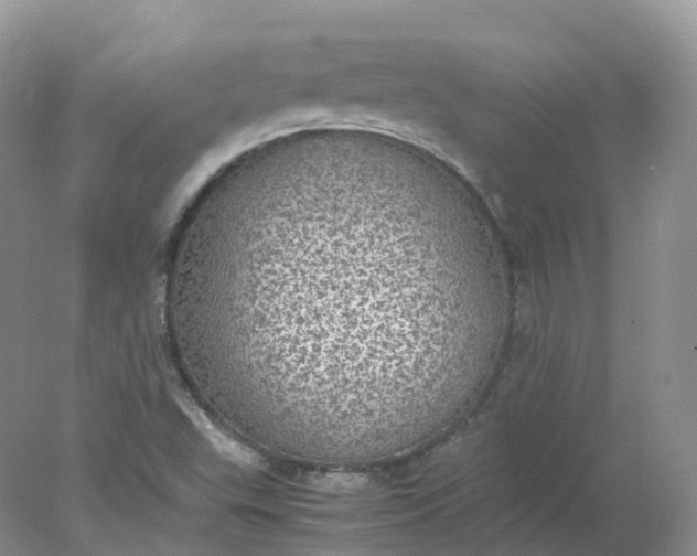 X0000078021503200611101833