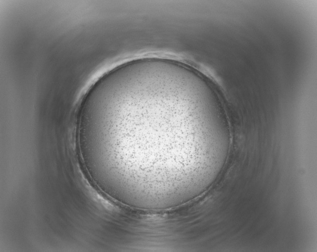 X0000078021504200611101833