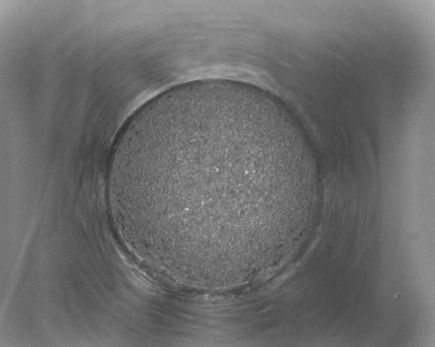 X0000078021505200611101833