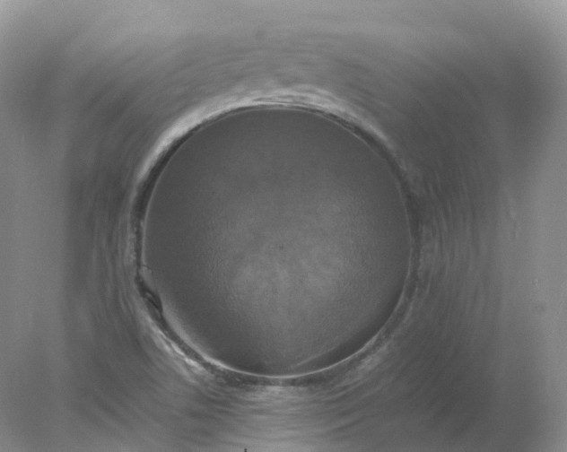 X0000078021506200611101833