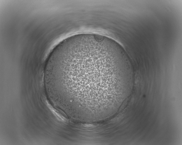 X0000078021507200611101833