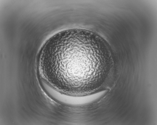 X0000078021508200611101833