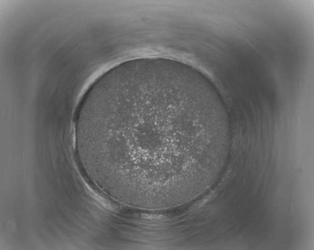 X0000078021509200611101833