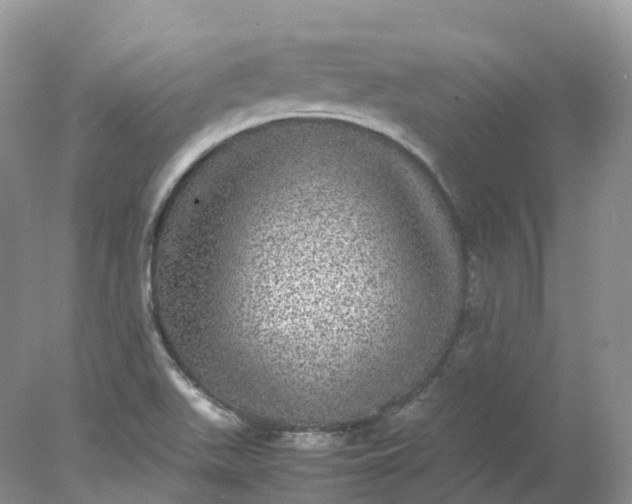 X0000078021511200611101833