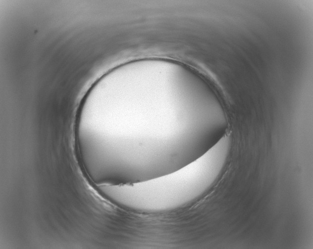 X0000078021512200611101833