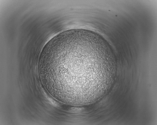 X0000078021513200611101833