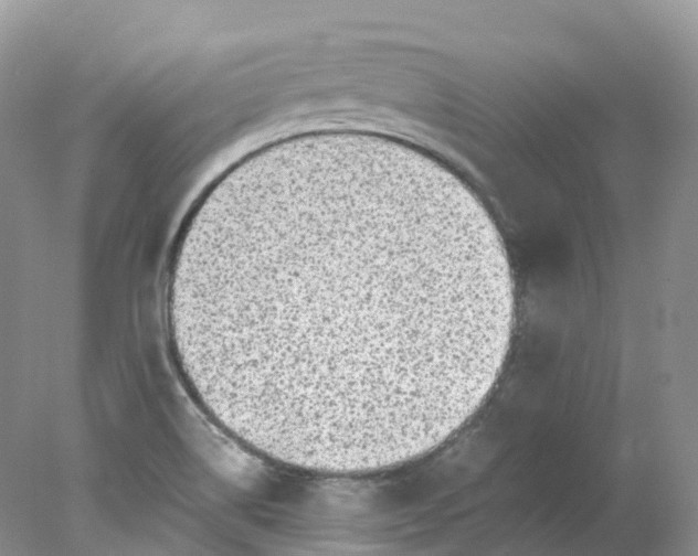 X0000078021514200611101833