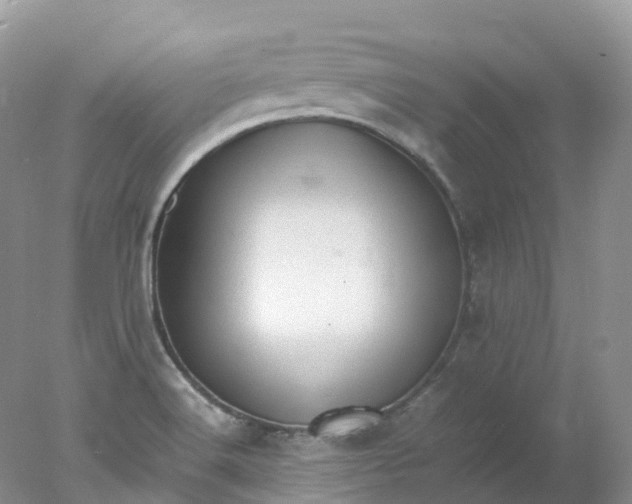 X0000078021516200611101833