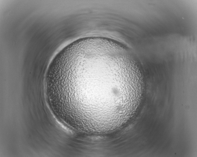 X0000078021517200611101833